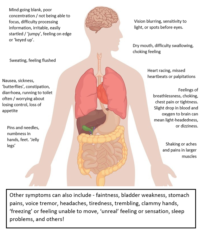 This diagram shows how the fight or flight response feels in our body.